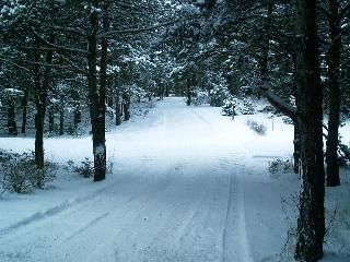snow mobile trails