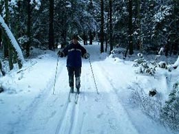 Cross Country Skiing